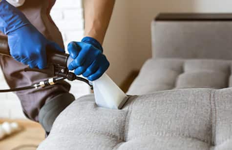 Best Couch Cleaning Coldstream