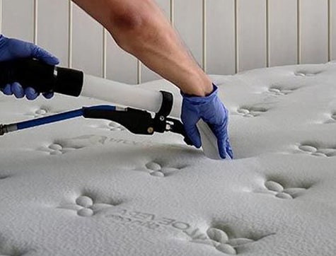 best-mattress-cleaning-Indented Head