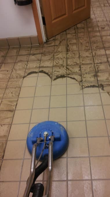 Tile and Grout Cleaning Rythdale
